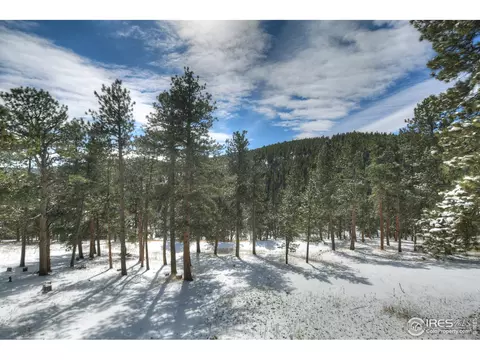 875 Primos Rd, Boulder, CO 80302 photo 19
