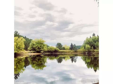 875 Primos Rd, Boulder, CO 80302 photo 36
