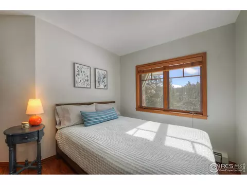 875 Primos Rd, Boulder, CO 80302 photo 29