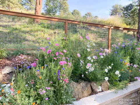 875 Primos Rd, Boulder, CO 80302 photo 38