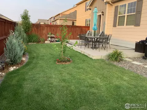 1806 Nightfall Dr, Windsor, CO 80550 photo 2