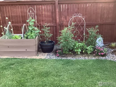 1806 Nightfall Dr, Windsor, CO 80550 photo 22