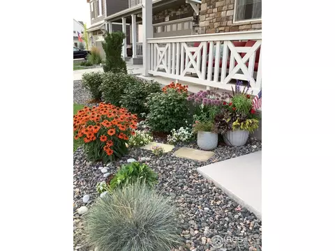 1806 Nightfall Dr, Windsor, CO 80550 photo 26