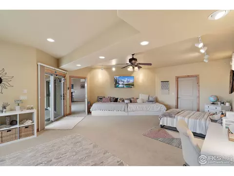 7396 Caledonian Ct, Windsor, CO 80550 photo 33
