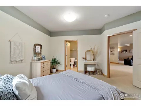 7396 Caledonian Ct, Windsor, CO 80550 photo 29