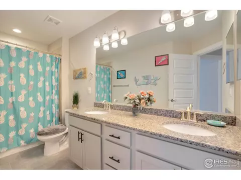 2182 Day Spring Dr, Windsor, CO 80550 photo 21