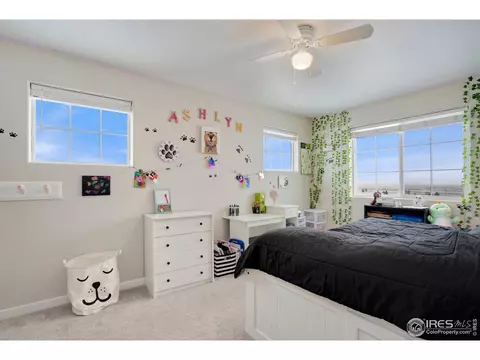 2182 Day Spring Dr, Windsor, CO 80550 photo 18