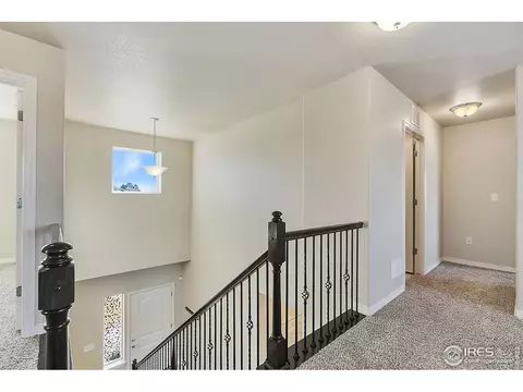 715 Vermilion Peak Ct, Windsor, CO 80550 photo 15