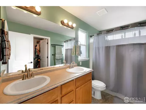 335 Shadowbrook Dr, Windsor, CO 80550 photo 19