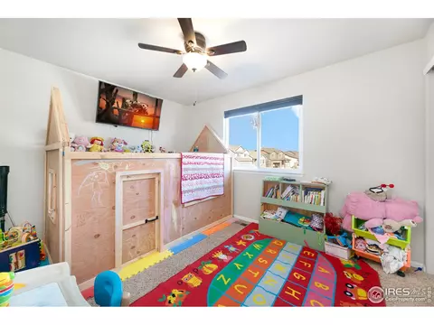 335 Shadowbrook Dr, Windsor, CO 80550 photo 24