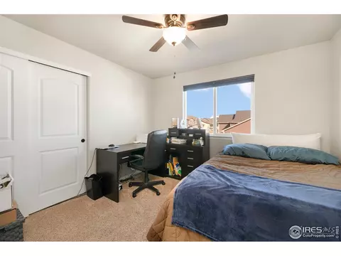 335 Shadowbrook Dr, Windsor, CO 80550 photo 23
