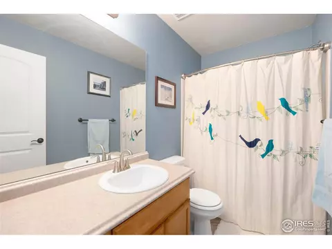335 Shadowbrook Dr, Windsor, CO 80550 photo 22