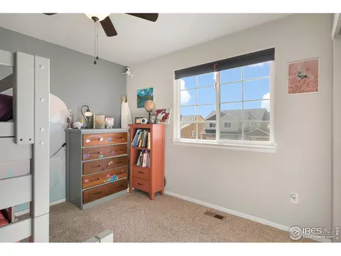 335 Shadowbrook Dr, Windsor, CO 80550 photo 21