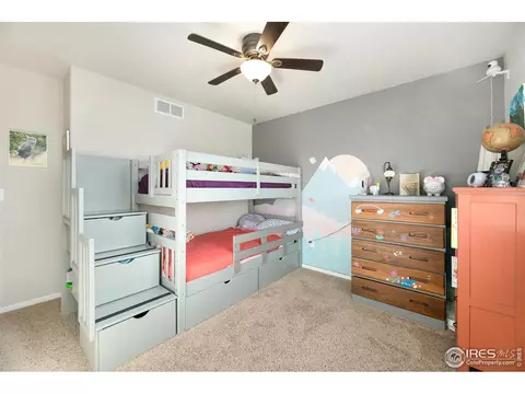 335 Shadowbrook Dr, Windsor, CO 80550 photo 20