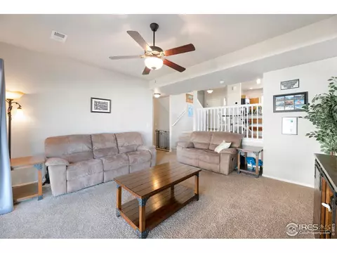 335 Shadowbrook Dr, Windsor, CO 80550 photo 13