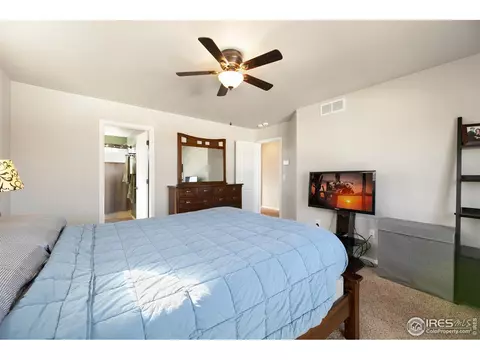 335 Shadowbrook Dr, Windsor, CO 80550 photo 18