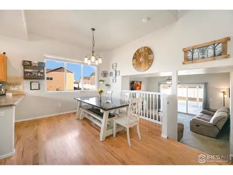 335 Shadowbrook Dr, Windsor, CO 80550 photo 4