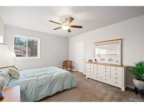 1380 Vanderwolf Ct, Monument, CO 80132 photo 33