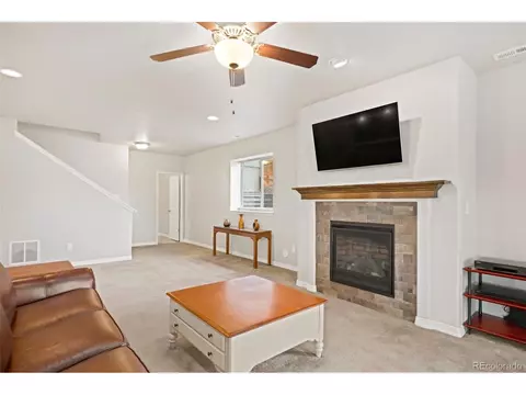 1380 Vanderwolf Ct, Monument, CO 80132 photo 30