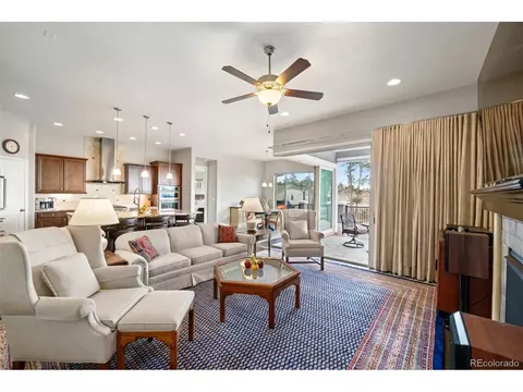 1380 Vanderwolf Ct, Monument, CO 80132 photo 21