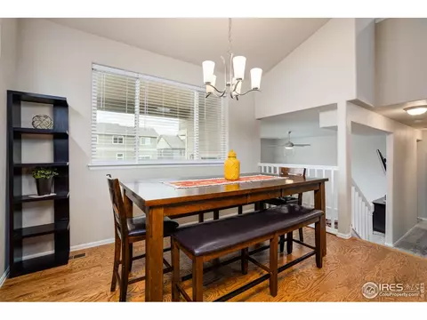 1667 Rise Dr, Windsor, CO 80550 photo 7