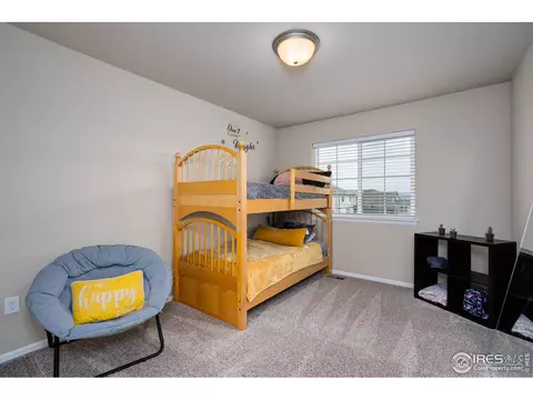 1667 Rise Dr, Windsor, CO 80550 photo 19
