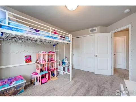 1667 Rise Dr, Windsor, CO 80550 photo 22