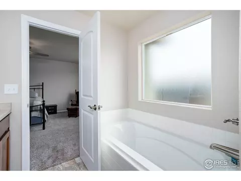 1667 Rise Dr, Windsor, CO 80550 photo 18