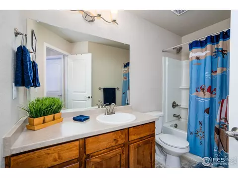 1667 Rise Dr, Windsor, CO 80550 photo 23