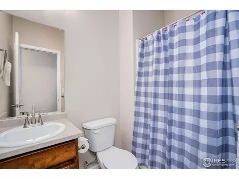 1667 Rise Dr, Windsor, CO 80550 photo 27