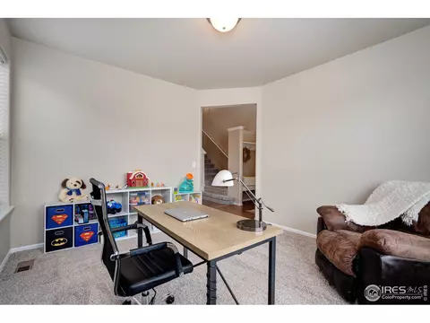 1667 Rise Dr, Windsor, CO 80550 photo 13