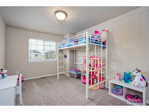 1667 Rise Dr, Windsor, CO 80550 photo 21