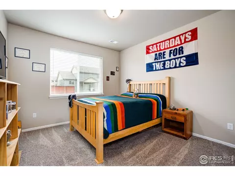 1667 Rise Dr, Windsor, CO 80550 photo 25