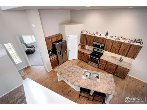 1667 Rise Dr, Windsor, CO 80550 photo 6