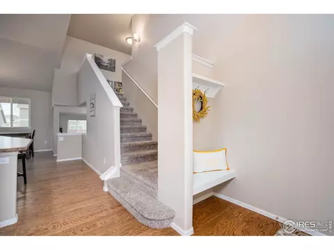 1667 Rise Dr, Windsor, CO 80550 photo 3