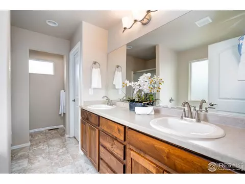 1667 Rise Dr, Windsor, CO 80550 photo 17