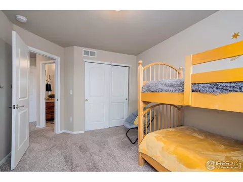 1667 Rise Dr, Windsor, CO 80550 photo 20