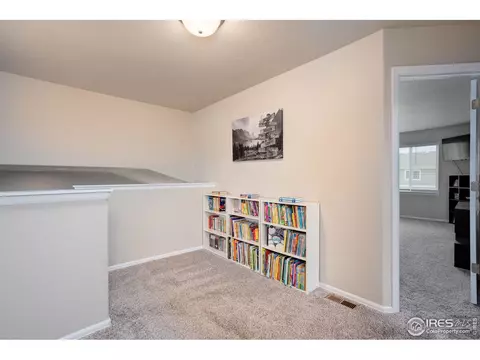 1667 Rise Dr, Windsor, CO 80550 photo 14