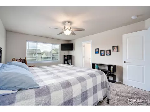 1667 Rise Dr, Windsor, CO 80550 photo 16