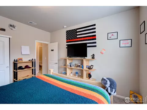 1667 Rise Dr, Windsor, CO 80550 photo 26