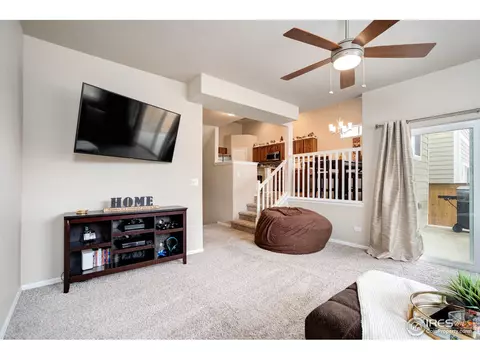 1667 Rise Dr, Windsor, CO 80550 photo 10