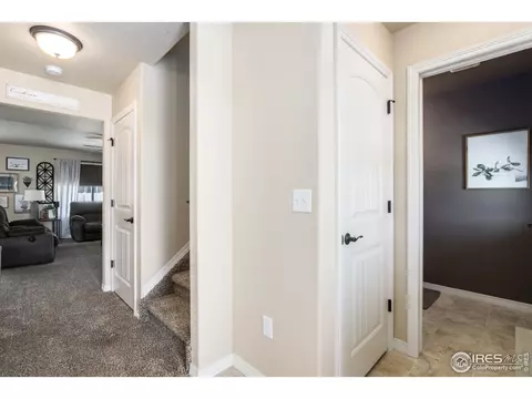 5546 Osbourne Dr, Windsor, CO 80550 photo 31