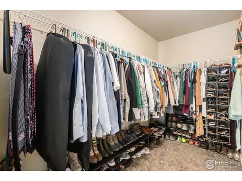 5546 Osbourne Dr, Windsor, CO 80550 photo 24