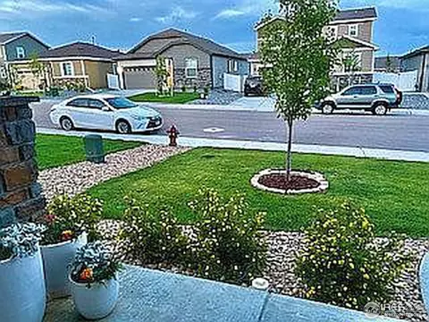 5546 Osbourne Dr, Windsor, CO 80550 photo 5