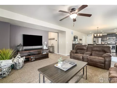 5546 Osbourne Dr, Windsor, CO 80550 photo 11