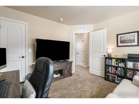5546 Osbourne Dr, Windsor, CO 80550 photo 28
