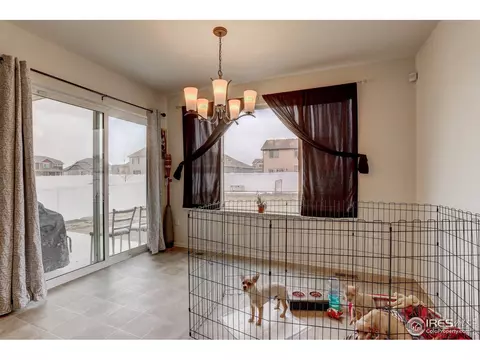 1565 Driftline Dr, Windsor, CO 80550 photo 11