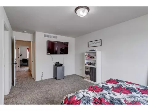 1565 Driftline Dr, Windsor, CO 80550 photo 24