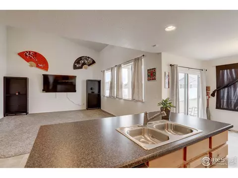 1565 Driftline Dr, Windsor, CO 80550 photo 10