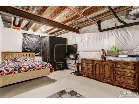 1565 Driftline Dr, Windsor, CO 80550 photo 29